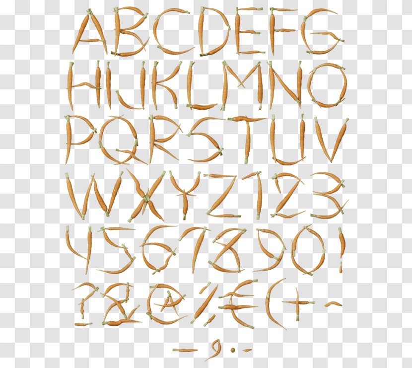 Calligraphy Font Line Point Product - Number - Busy Beavers Alphabet Transparent PNG