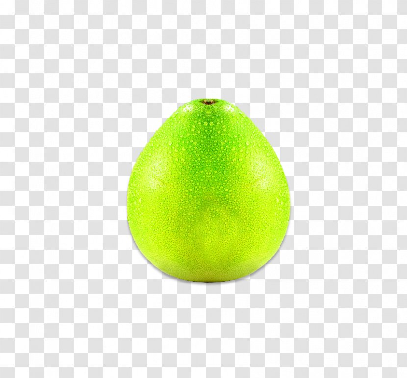 Lime Pomelo Grapefruit Lemon Transparent PNG