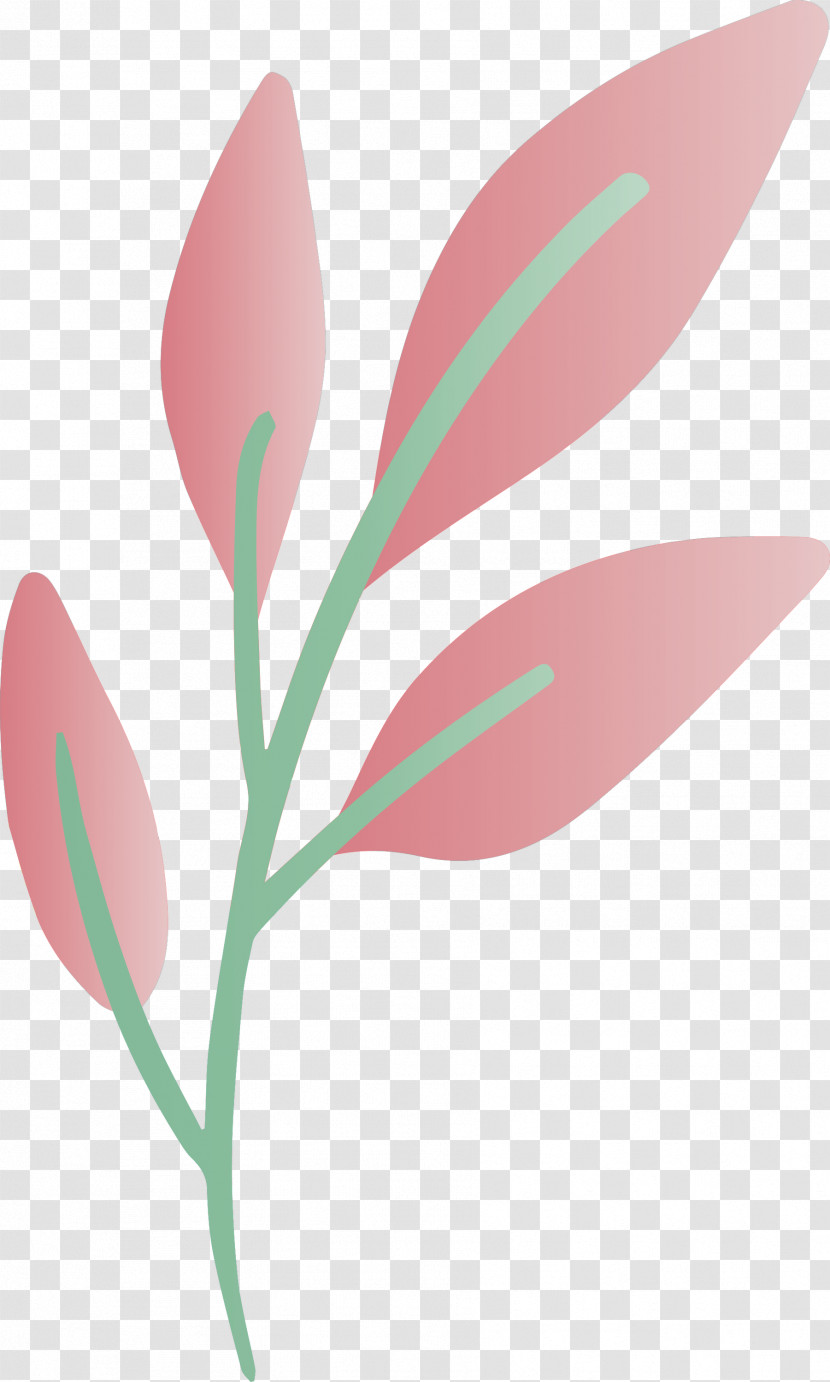 Flower Plant Leaf Pedicel Pink Transparent PNG