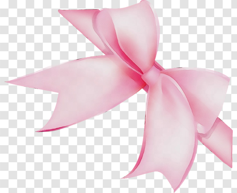 Pink Petal Flower Ribbon Plant Transparent PNG