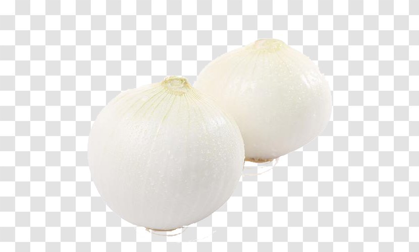 White Onion Vegetable - Vegetables Transparent PNG