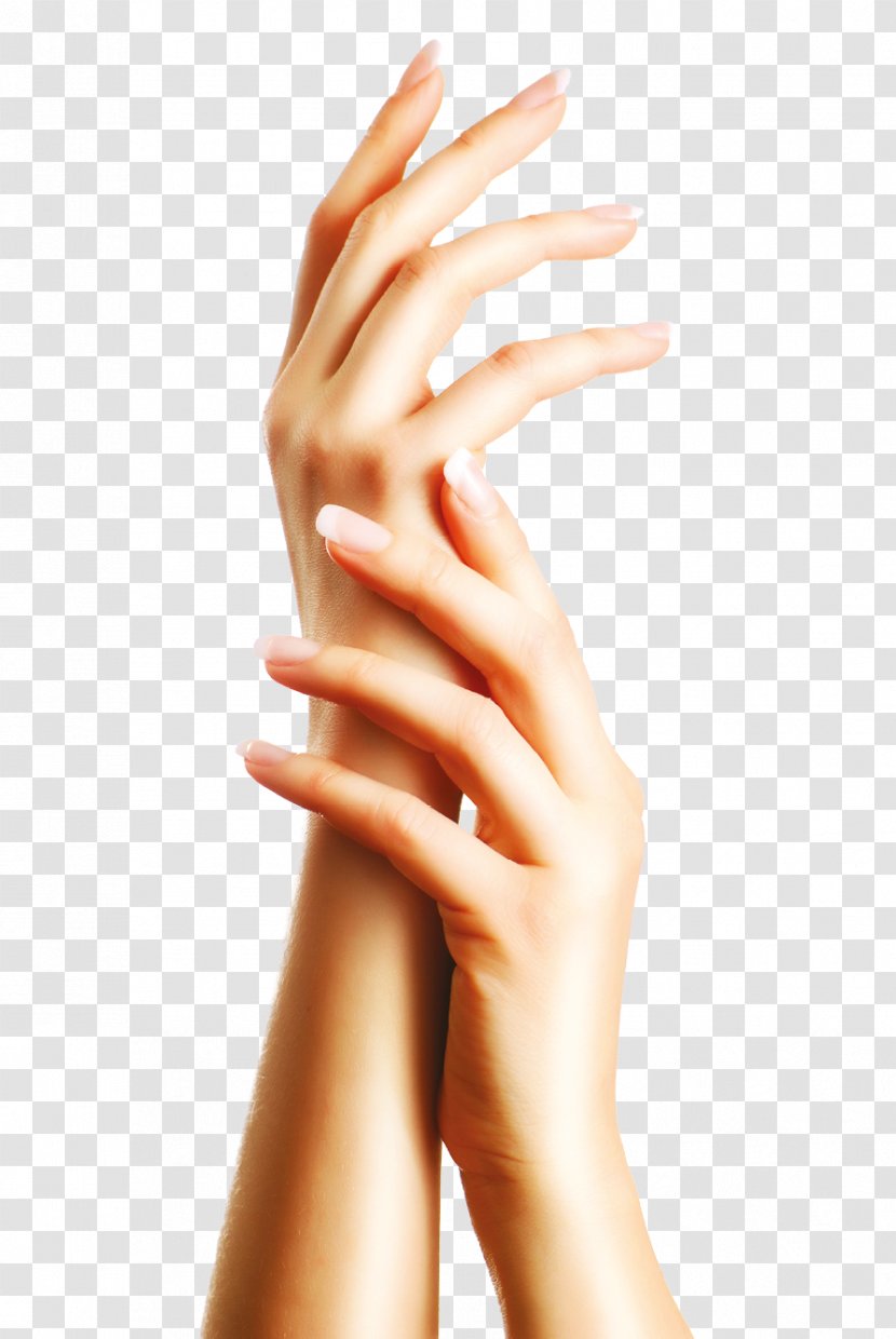 Hand Aloe Vera Manicure Pedicure Beauty Parlour - Model - Hands Transparent PNG
