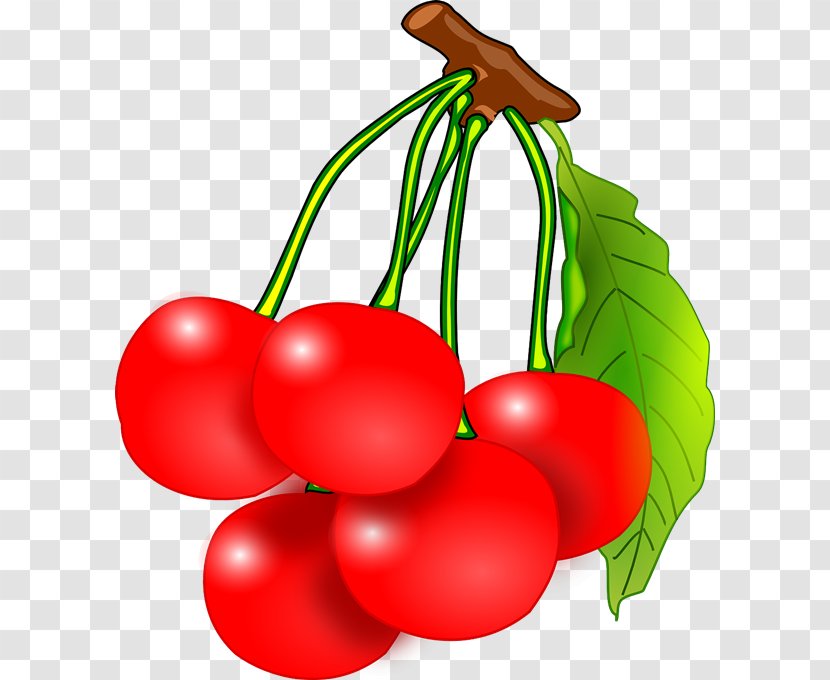 Fruit Cherry Free Content Clip Art - Natural Foods - Bunch Cliparts Transparent PNG