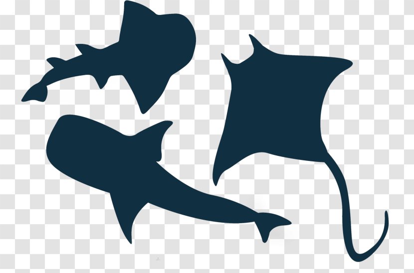 Great White Shark Vector Graphics Illustration Clip Art - Fin - Clipart Pixabay Transparent PNG
