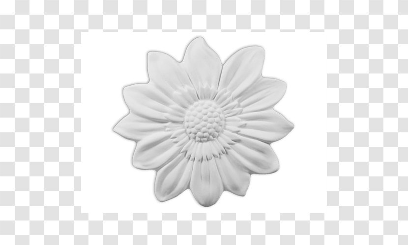 Transvaal Daisy Cut Flowers White New Hampshire - Pretty Metal Ring Transparent PNG