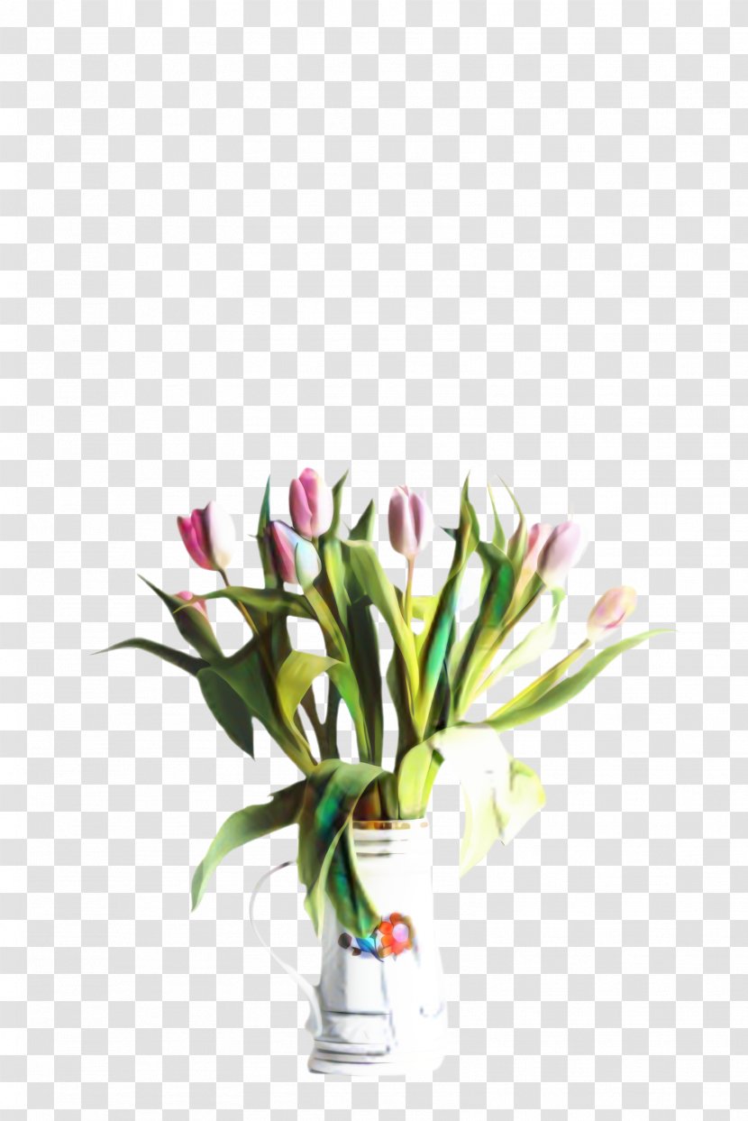 Lily Flower Cartoon - Family - Houseplant Transparent PNG