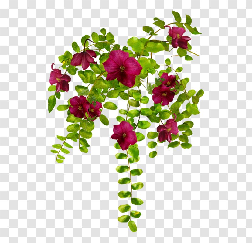Floral Design Flower Plant Rose - بسم الله الرحمن الرحيم Transparent PNG