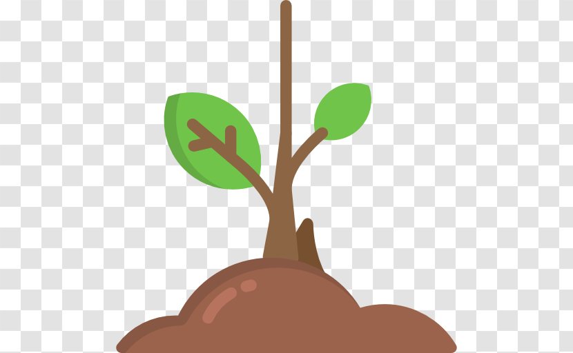 Sprout - Tree - Plant Transparent PNG
