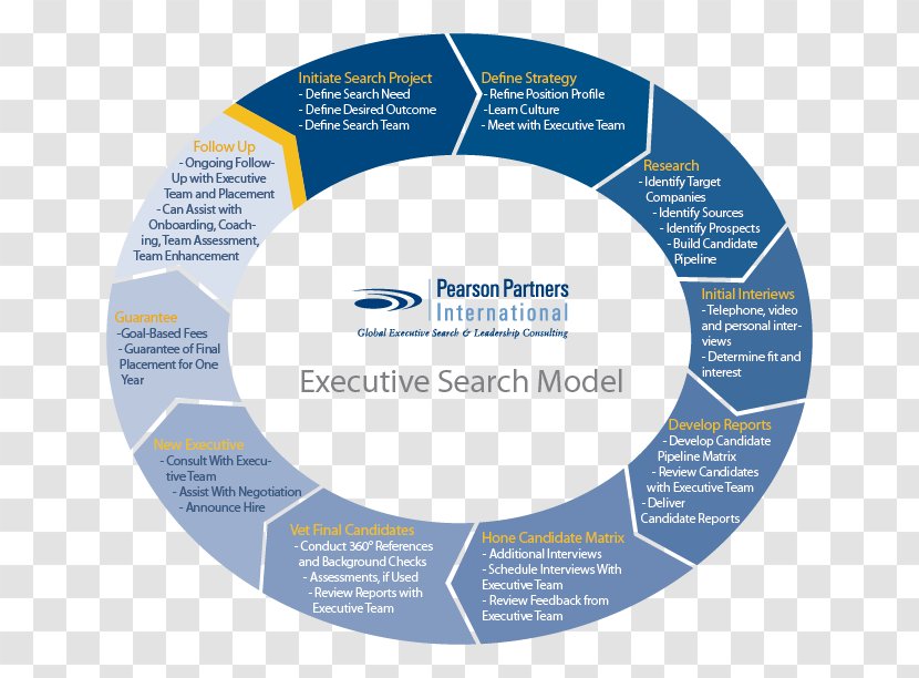 Organization Business Process Senior Management Coaching - Label - Chart Model Transparent PNG