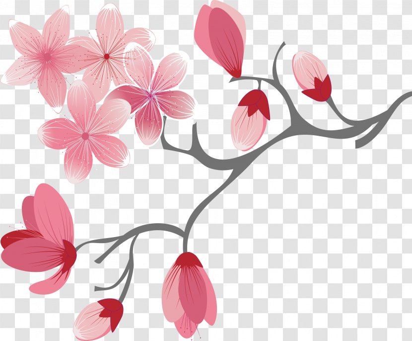 Cherry Blossom - Cartoon Pink Blossoms Transparent PNG