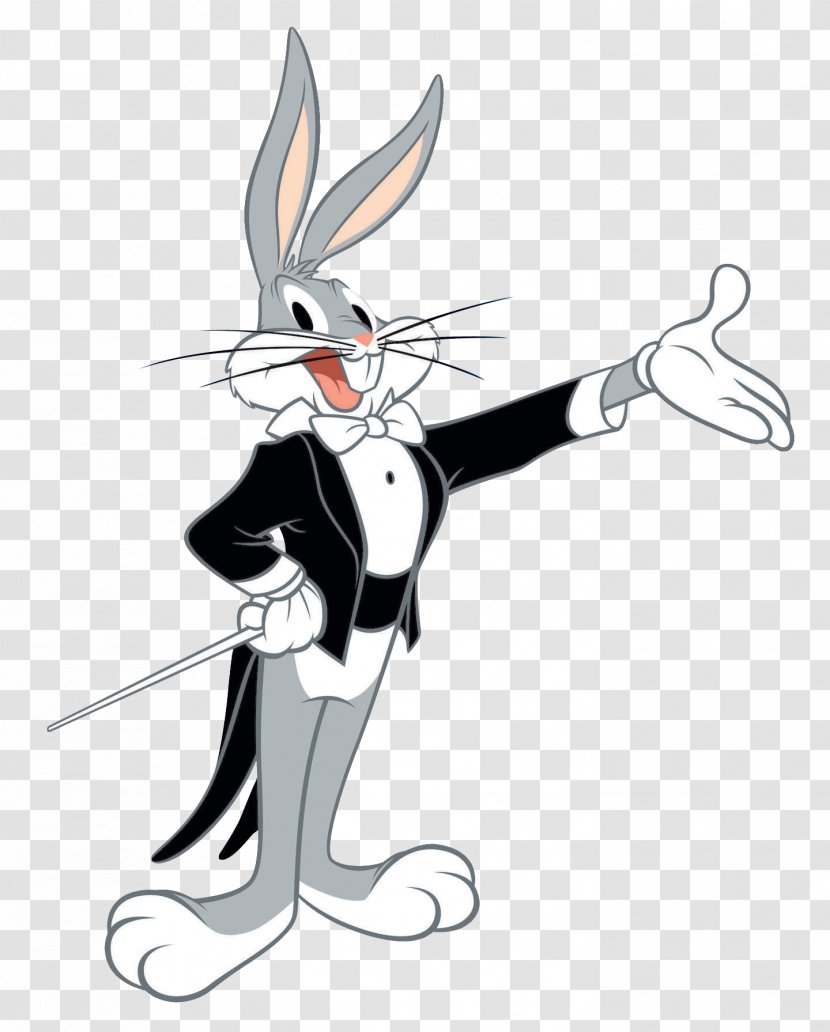 Bugs Bunny Rabbit Cartoon Character - Daffy Duck Transparent PNG