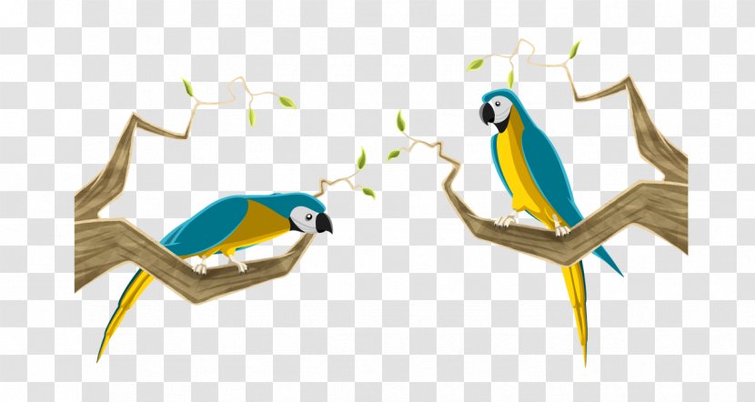 Macaws Parrot Animation Beak - Wing Transparent PNG