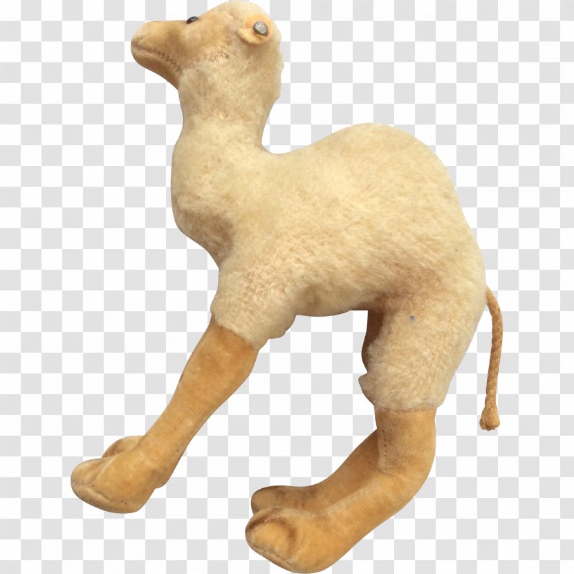 Dromedary Stuffed Animals & Cuddly Toys Livestock Fur - Snout - Camel Transparent PNG