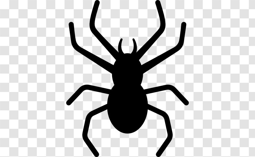 Spider Insect Clip Art - Black And White Transparent PNG