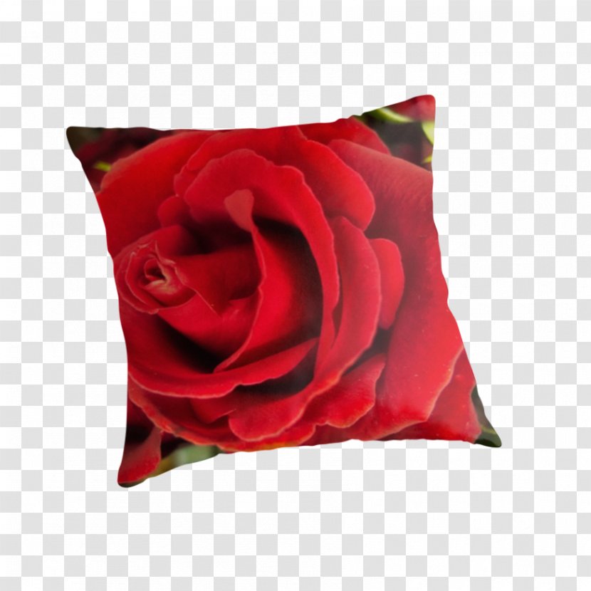 Garden Roses Throw Pillows Cushion Velvet - Pillow Transparent PNG