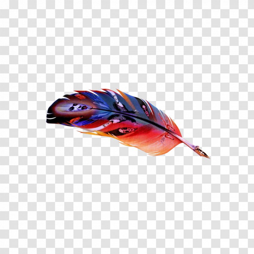 Chicken Feather Computer File - Beak - Rooster Color Transparent PNG