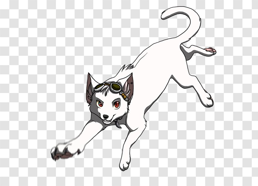 Kitten Whiskers Domestic Short-haired Cat LaPerm Drawing - Fan Art Transparent PNG