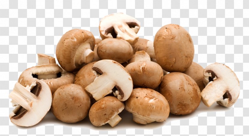 Common Mushroom Shiitake Food Fungus - Straw - Physical Photography Mushrooms Transparent PNG