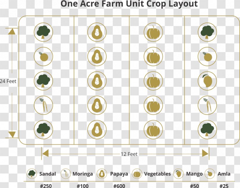 Line Angle Font - Text - Organic Farming Transparent PNG