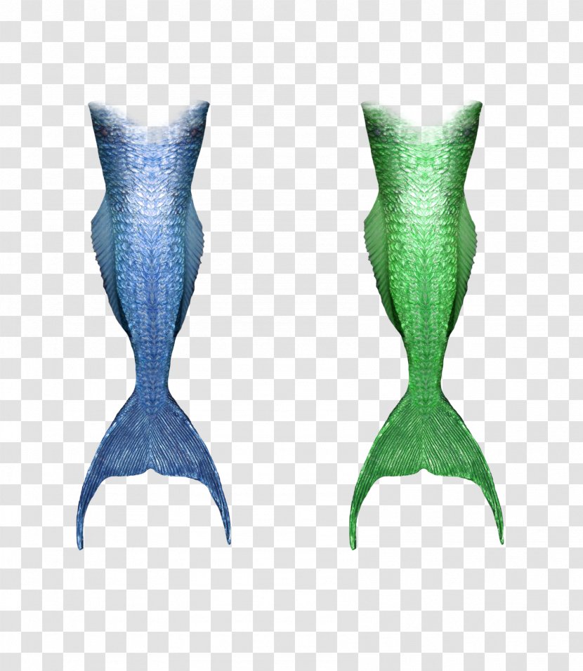 Mermaid Tail Clip Art - Dream Decorative Transparent PNG