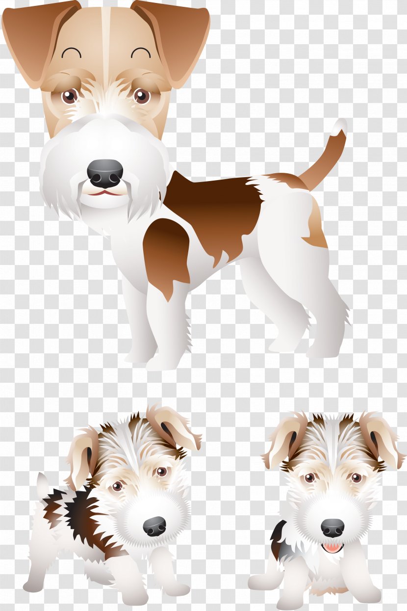 Smooth Fox Terrier Wire Hair Bull Airedale Jack Russell - Carnivoran - Dog Transparent PNG