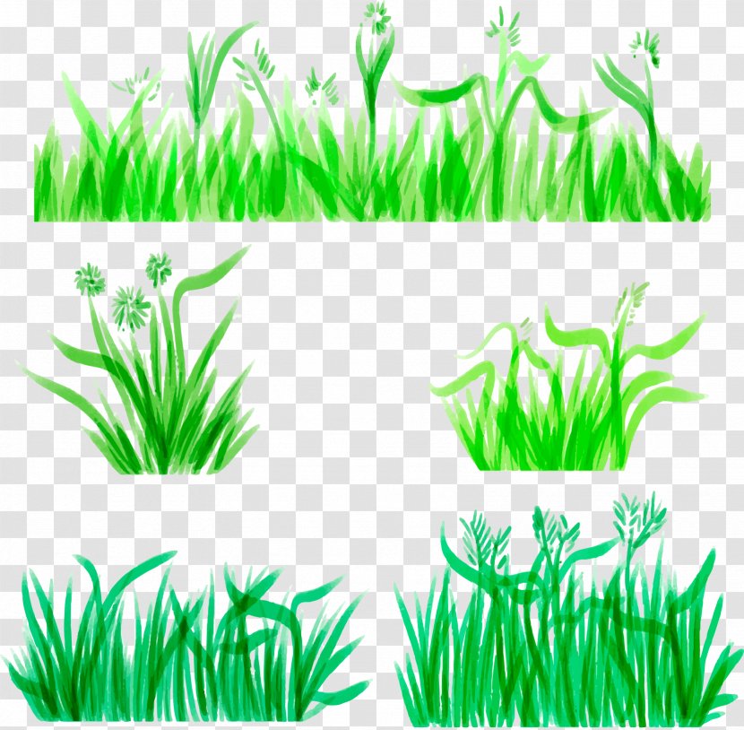 Watercolor Painting Download - Plant - Pen Grass Decoration Borders Transparent PNG