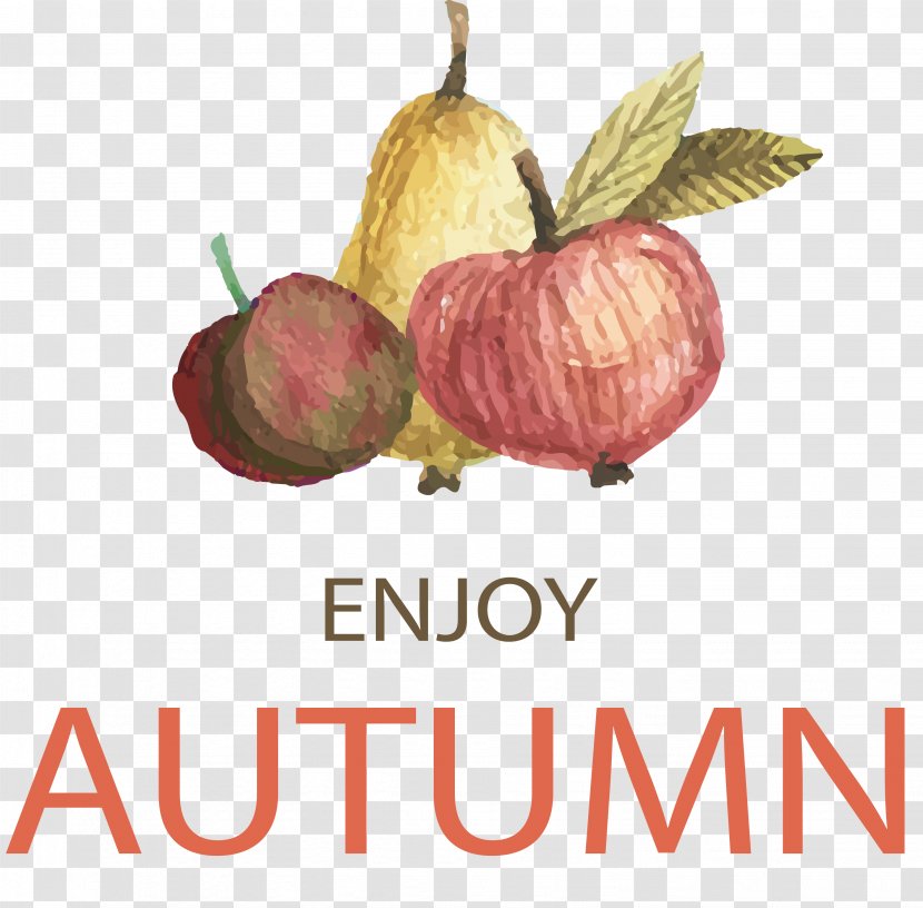 Hatchway CAD Academy Logo Business Partnership Company - Diet Food - Enjoy The Fruits Of Autumn Transparent PNG