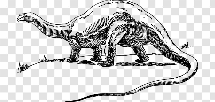 Apatosaurus Brontosaurus Tyrannosaurus Dinosaur Park Diplodocus Transparent PNG