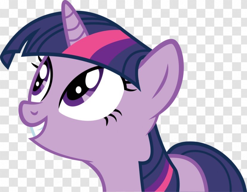 Pony Horse Twilight Sparkle Fluttershy Pinkie Pie - Frame Transparent PNG