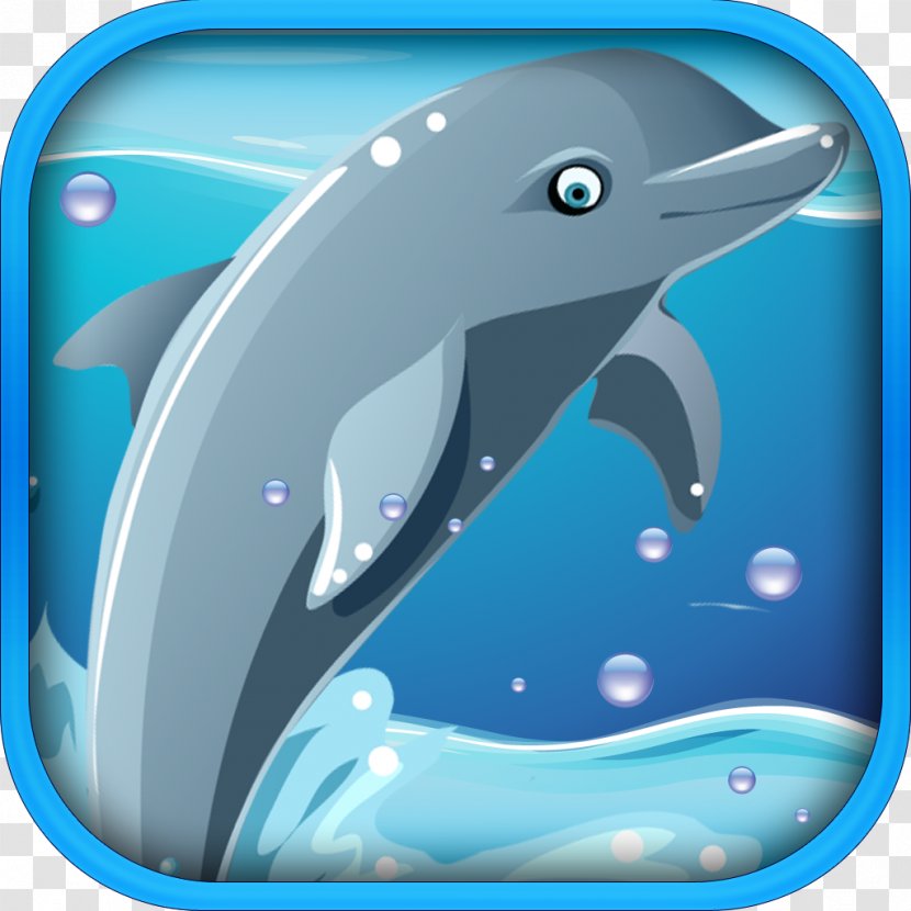Common Bottlenose Dolphin Wholphin Marine Mammal Cetacea - Organism Transparent PNG