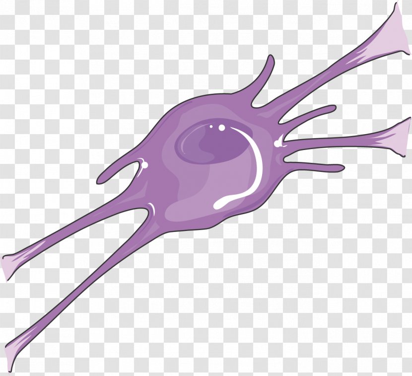 Oligodendrocyte Nervous System Neuron Meninges Neuroblast - Silhouette - Neurology Transparent PNG