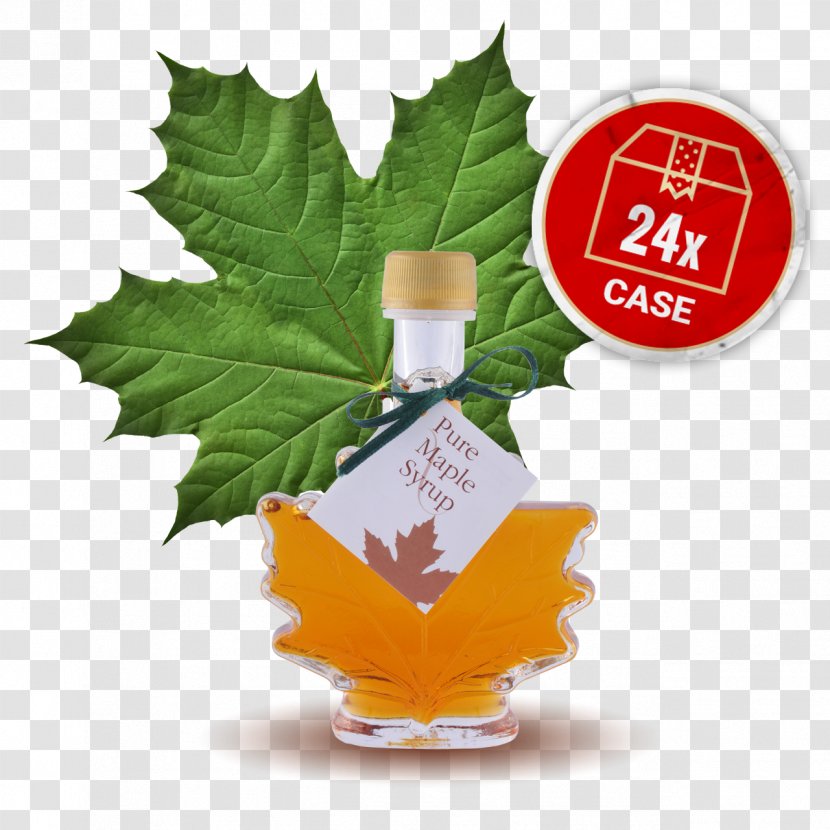 Maple Syrup Pancake Bottle - Canadian Cuisine Transparent PNG