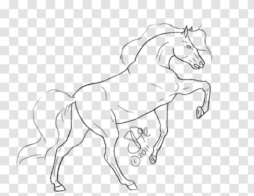 Mane Foal Pony Halter Mustang - Joint Transparent PNG
