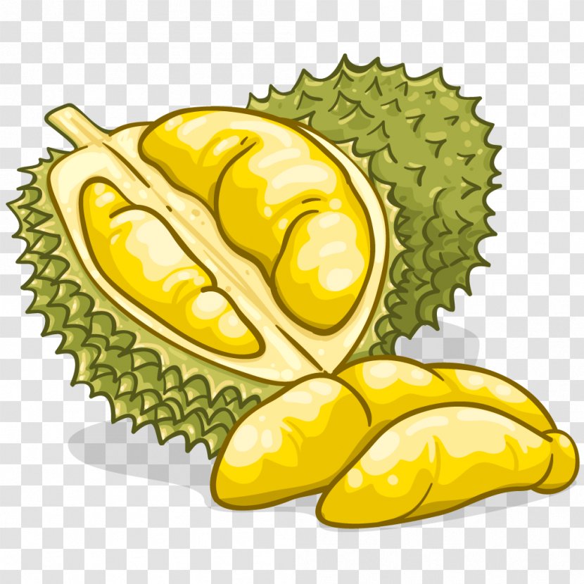 Durian Food Flavor Fruit Clip Art - Stock Photography Transparent PNG