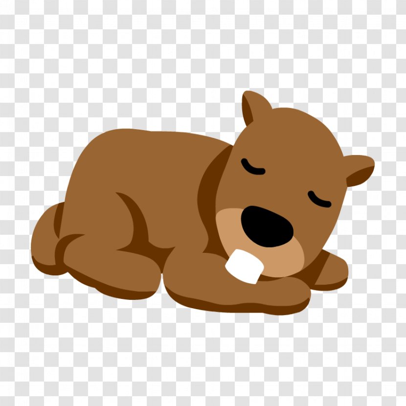 Cat And Dog Cartoon - Grizzly Bear - Fawn Tail Transparent PNG