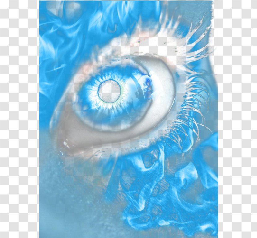 Iris Blue Sky Water Eye - Tree - Avatar Eyes Transparent PNG