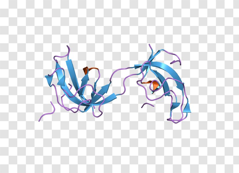 Dynactin DCTN1 Protein Subunit Art - Interaction Transparent PNG