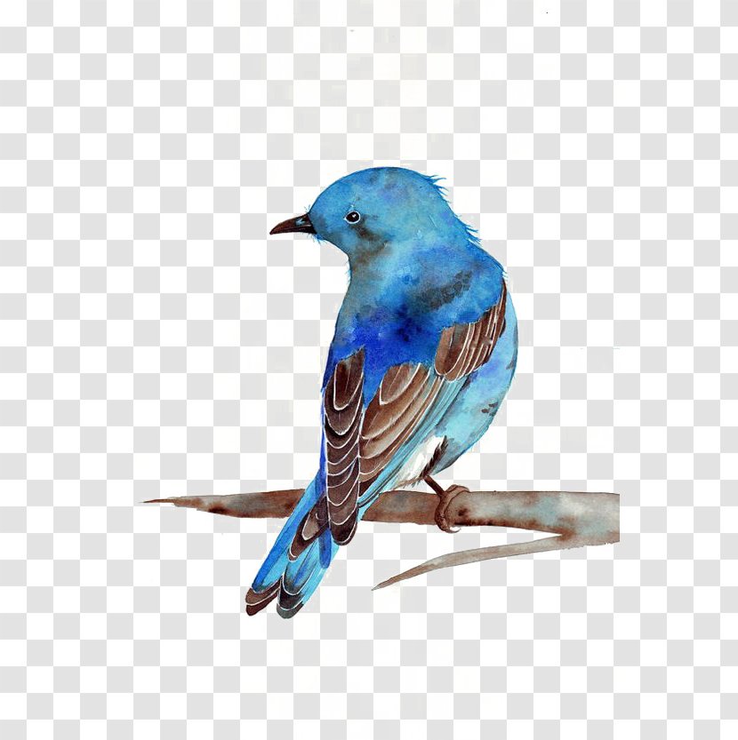 Watercolor Painting Bluebird Printmaking - Beak - Sparrow Transparent PNG