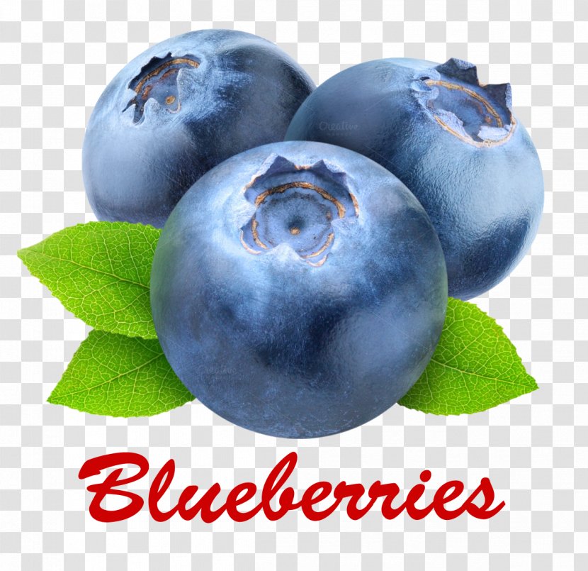 European Blueberry Bilberry Tiramisu Food - Tea Transparent PNG