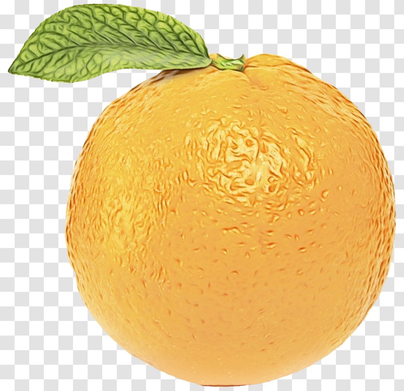 Valencia Orange Mandarin Tangelo Vegetarian Cuisine - Yuzu - Winter Squash Transparent PNG