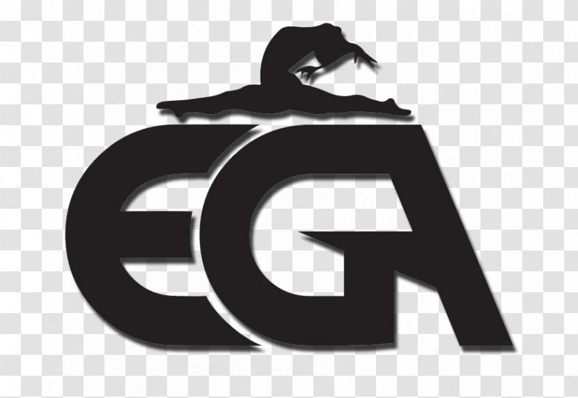 Edmond Gymnastics Academy Fitness Centre Tumbling Enterprise Drive