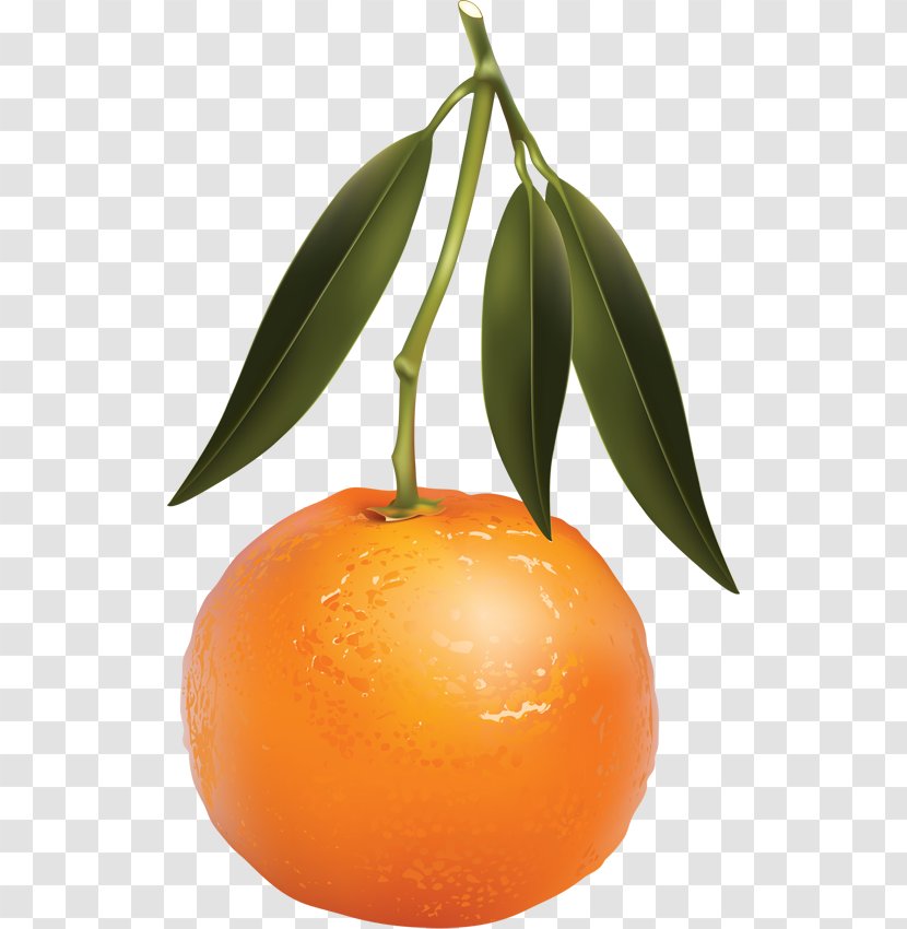 Clementine Tangerine Mandarin Orange Juice - Rangpur Transparent PNG