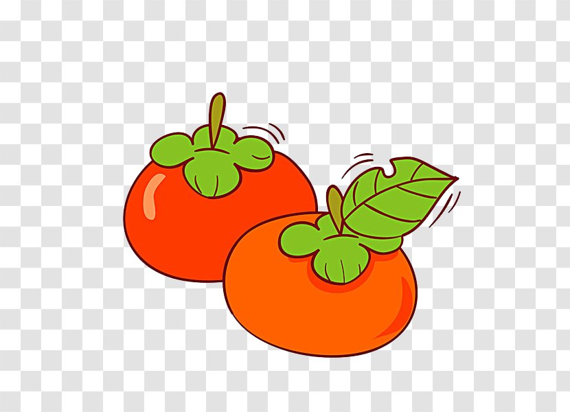 Tomato Vegetable Illustration - Basil Transparent PNG