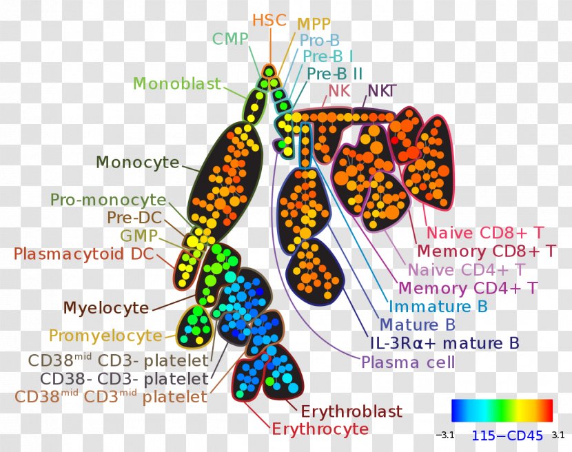 Mass Cytometry Flow Bioinformatics High Throughput Biology - Fluorophore Transparent PNG