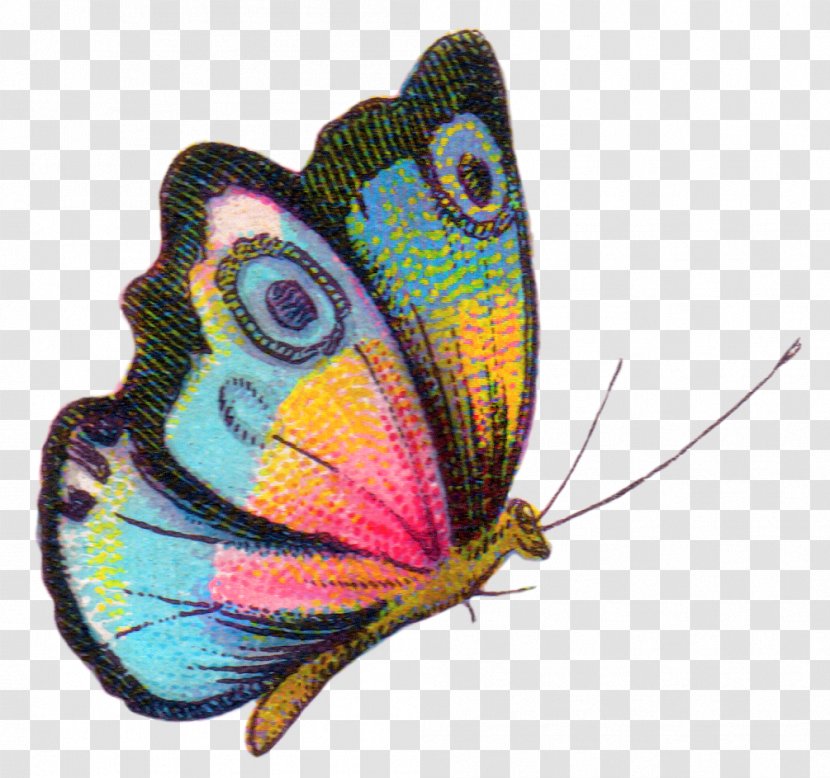 Butterfly Royalty-free Clip Art - Energy - Watercolor Transparent PNG