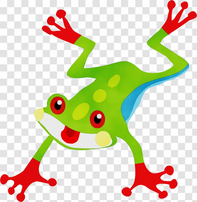 Agalychnis Tree Frog Clip Art - True - Hyla Transparent PNG