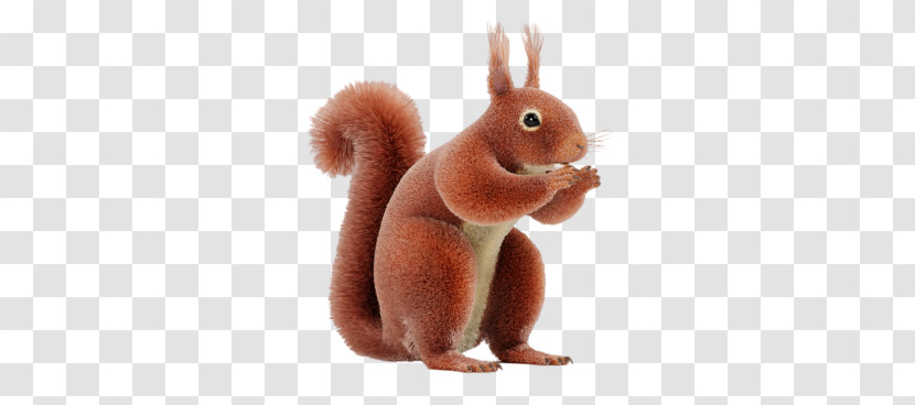 Squirrel Eurasian Red Squirrel Animal Figure Rabbit Rabbits And Hares Transparent PNG