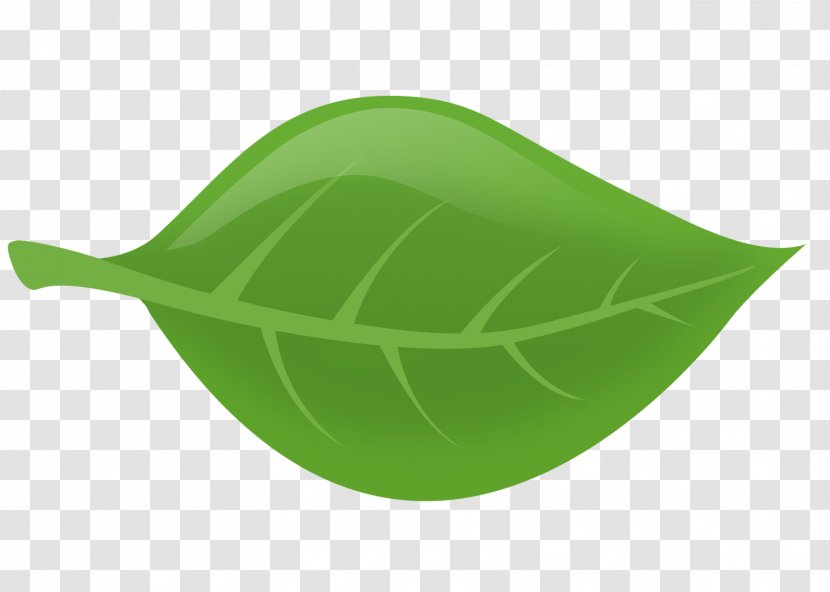 Green Leaf - Grass - Lotus Transparent PNG