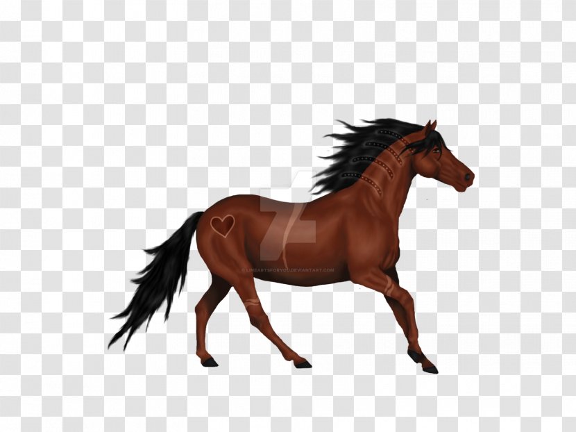 Horse Stallion Mane Rein Pony Transparent PNG
