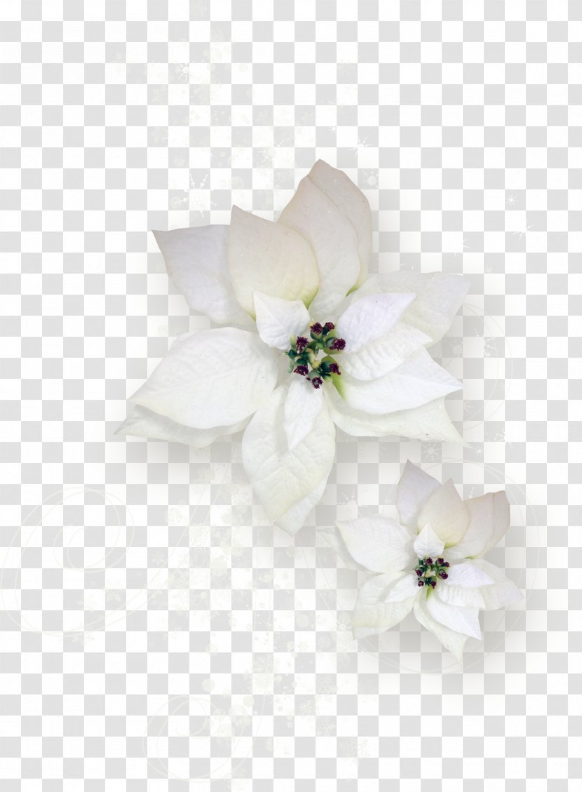 Cut Flowers Flowering Tea Rose Plant - Flower Bouquet - Cupid Transparent PNG